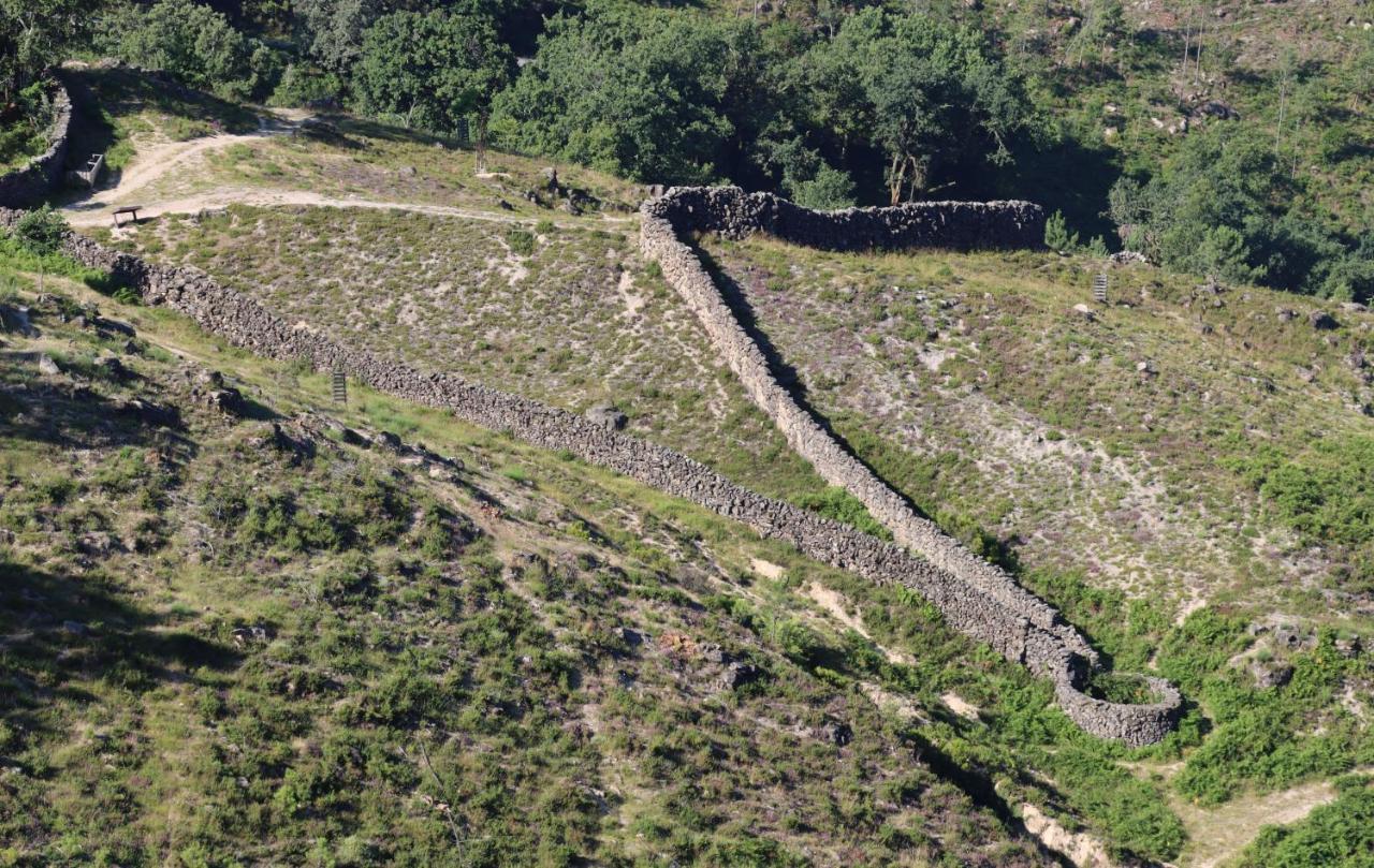 בית הארחה Santa Leocadia 	Quinta Da Riba Ma מראה חיצוני תמונה